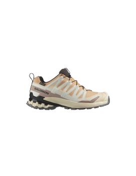Zapatillas de trail Salomon Bajo XA Pro 3 V9 GTX Beige