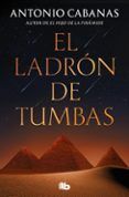 el ladron de tumbas