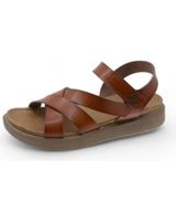 de beppi 2204370 camel