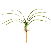 rama de hojas de cymbidium artificial verde oscuro h80