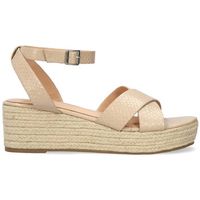 andypola alpargatas am6039 para mujer