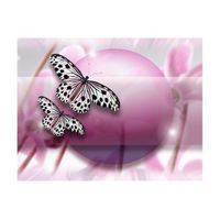 papel pintado 3d - fly butterfly 350x270 cm