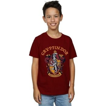 Harry Potter Tops y Camisetas Gryffindor para niño