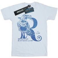 harry potter camiseta ravenclaw para hombre