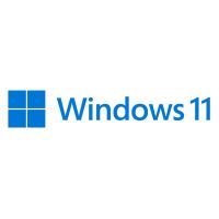 sistema operativo microsoft windows 11 pro fpp 1 licencia ingles usb
