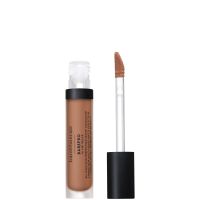 bareminerals barepro all-over skin-perfecting matte concealer mineral spf 25 75ml various shades - medium deep 450 cool