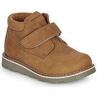 el naturalista botines brossi para nino