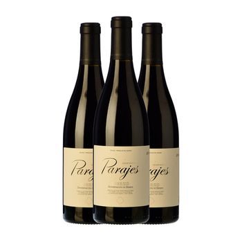 César Márquez Vino Tinto Parajes Bierzo 75 Cl 13.5% Vol. (pack De 3 Unidades)
