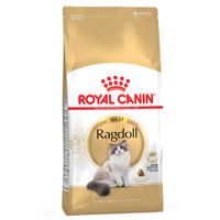 royal canin ragdoll - 10kg