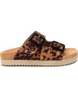 de refresh 171881 leopardo