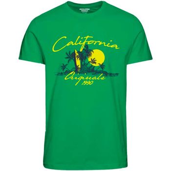 Jack & Jones Camiseta 12240210 JORBOOSTER TEE SS CREW NECK DROP 6 JNR ISLAND GREEN para niño