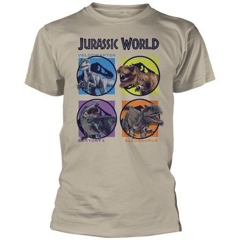 Jurassic Park Camiseta PH4935 para mujer