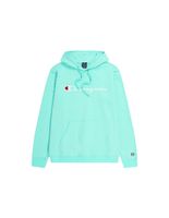 sudadera champion hooded sweatshirt hombre