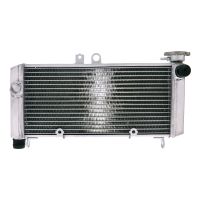 refrigerador motor honda cbf 600 -07 agua
