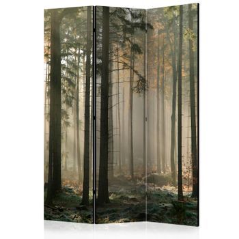 Biombo - Foggy November Morning (135x172 Cm)