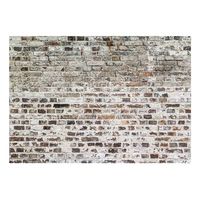 papel pintado 3d - old walls 350x245 cm