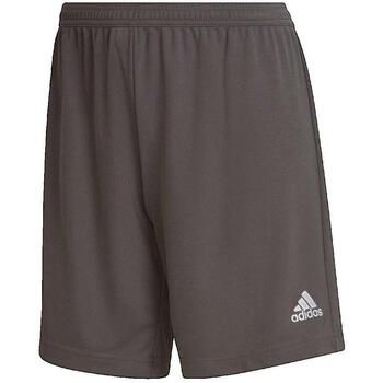 adidas Short Short Entrada 22 para mujer