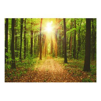 Papel Pintado 3d - Mirror Of Nature (350x245 Cm)