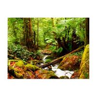 papel pintado 3d - rainforest 400x309 cm