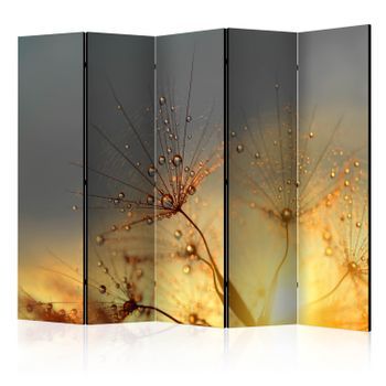 Biombo - Summer Solstice Ii (225x172 Cm)