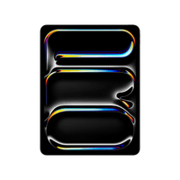 13-inch ipad pro wi-fi  cellular 2tb with standard glass - space black