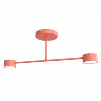 plafon de techo tanfa coral 2 luces