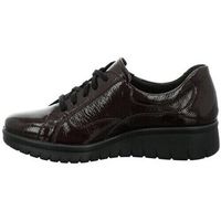 westland zapatos mujer blucher calais-22 charol burdeos para mujer