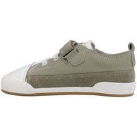 blanditos deportivas moda galeonbd para nino