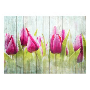 Papel Pintado 3d - Tulipanes En Madera Blanca (150x105 Cm)