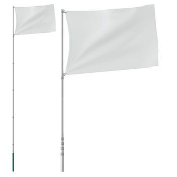 Mástil De Bandera Telescópico Aluminio Plateado 5,5 M Vidaxl