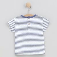 cotton fish tops y camisetas 90683 para nino