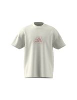 camiseta adidas all szn graphic seasonal hombre blanco