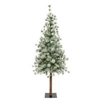 nordstar fir 180cm