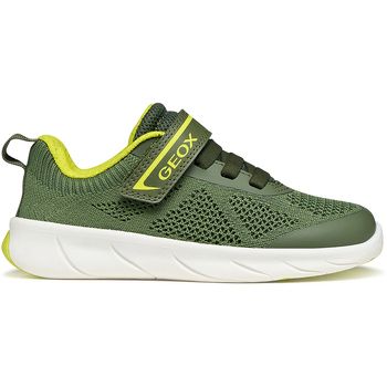 Geox Zapatillas j65pdb yesili para niño
