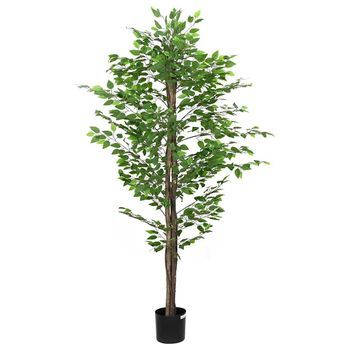 Planta Ficus Artificial 1260 Hojas 200 Cm Verde Vidaxl