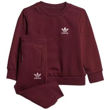 adidas Chándal IJ7193 para niño