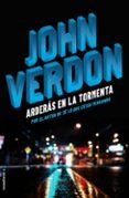 arderas en la tormenta serie dave gurney 6