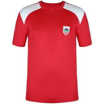 Fifa Camiseta GT28993 para hombre