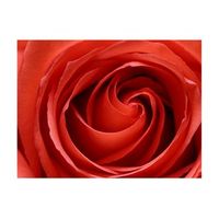 papel pintado 3d - rosa despertandose 200x154 cm
