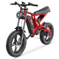 eu direct bicicleta electrica hola b6 bateria de 48v 156ah motor de 1200w velocidad maxima recomendada 25kmh neumati