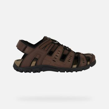 GEOX Strada Hombre Marrón Oscuro