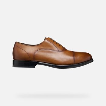 GEOX Barberigo Hombre Coñac