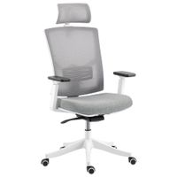 homcom silla de oficina ergonomica y transpirable con soporte lumbar dinamico 4d 645x625x112-122 cm multicolor   aosom espana