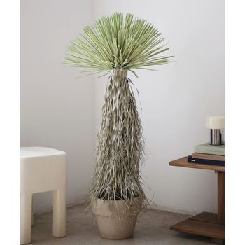Planta Artificial - Nolina Artificial 120 Cm