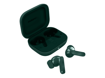Auriculares True Wireless - motorola Buds Bass, 9 h Autonomía, Cancelación ruido (ANC), Pantone Posy Green