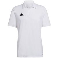 adidas polo entrada 22 para hombre
