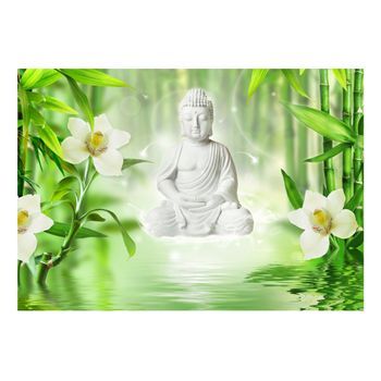 Papel Pintado 3d - Buda Y Naturaleza (300x210 Cm)