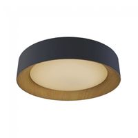 plafon de techo led lili 60w
