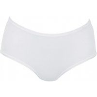 Eli High Waist Microfibre Maxi Briefs