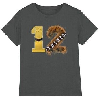 Disney Tops y Camisetas 12 para niña